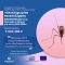 Ξεκινά το έργο της ολοκληρωμένης καταπολέμησης των κουνουπιών με drone, δορυφορικό εντοπισμό και συστήματα σύγχρονης τεχνολογίας