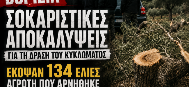 «Ήθελαν το χωράφι»: Καταγγελίες για μαφιόζικες πρακτικές στα Βορίζια