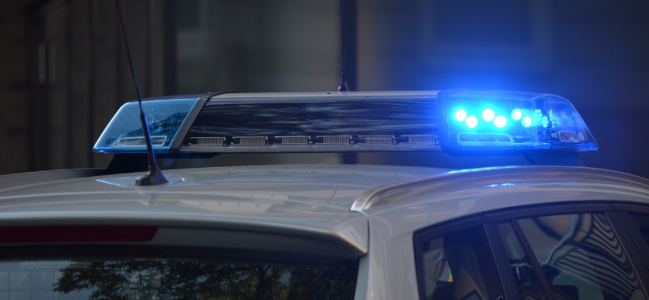 Δυο συλλήψεις για ζωοκλοπή στο Λασίθι