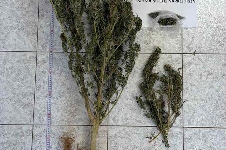 Συλλήψεις για ναρκωτικά σε Αγιο Νικόλαο και Χανιά