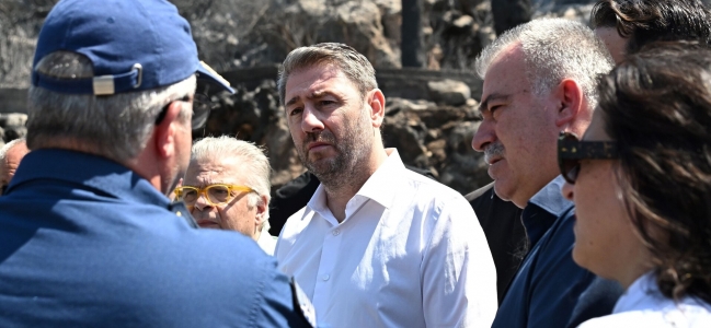 Ν. Ανδρουλάκης: Η πολιτική προστασία στη χώρα μας πρέπει να αποκτήσει ένα άλλο δόγμα