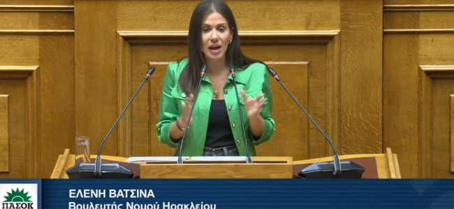 Παρέμβαση της Ελένη Βατσινά στη Βουλή για τις μικρομεσαίες επιχειρήσεις και την απογοητευτική εικόνα της αγοράς στις εκπτώσεις