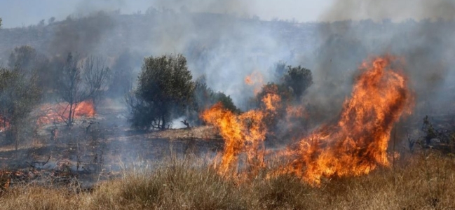 Πολύ Υψηλός Κίνδυνος Πυρκαγιάς σήμερα Σάββατο 18 Ιουλίου 2026 στις Π.Ε. Ηρακλείου, Π.Ε. Λασιθίου και Π.Ε. Ρεθύμνου
