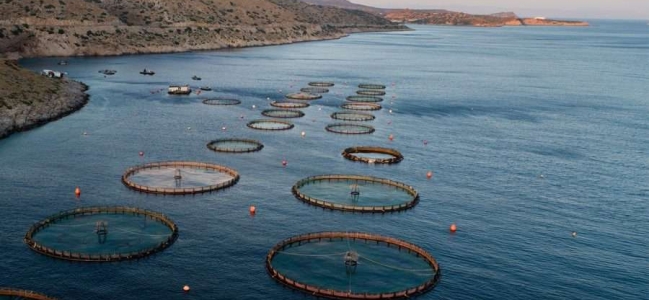 Δημοσιοποίηση ανάρτησης Προσκλήσεων του  Επιχειρησιακού Προγράμματος Αλιείας & Θάλασσας 2021-2027