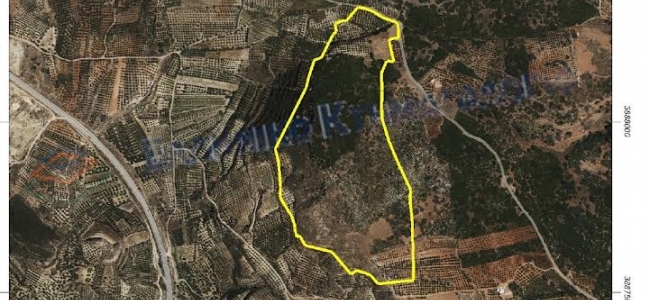 Πρόταση του Β. Κεγκέρογλου για τη δημιουργία «Πάρκου Κρητικής Χλωρίδας και Πανίδας» στη θέση «Κεφάλας» στο Αρκαλοχώρι