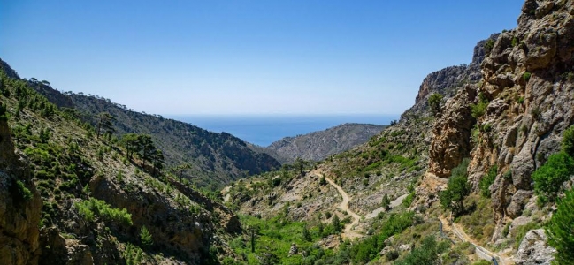 Ο Περιφερειακός Μηχανισμός Κλιματικής Αλλαγής ανοίγει δίαυλο επικοινωνίας με την κοινωνία 