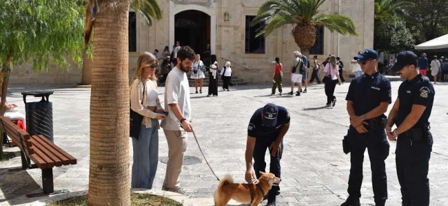   Εντατικοί έλεγχοι  για την προστασία ζώων συντροφιάς στην Κρήτη-Eπιβλήθηκαν πρόστιμα ύψους 384.505 ευρώ 
