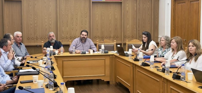 Πρώτη συνεδρίαση της ομάδας Εργασίας Περιφέρειας Κρήτης  για την στήριξη της Κρητικής Ελαιοκομίας 