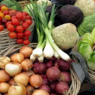 Κατακόρυφη αύξηση στις εισαγωγές φρούτων και λαχανικών – Στην πρώτη θέση η πατάτα