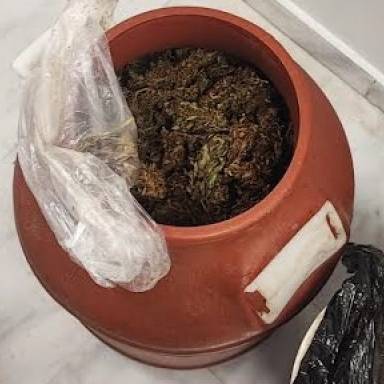 Δυο συλλήψεις για καλλιέργεια κάνναβης στα Χανιά