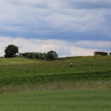 Ο πόλεμος φέρνει αυξήσεις και στα λιπάσματα