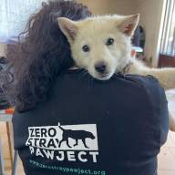 Στη Βραζιλία κατατέθηκε νομοσχέδιο για την κοινή κηδεμονία των ζώων συντροφιάς μετά το διαζύγιο