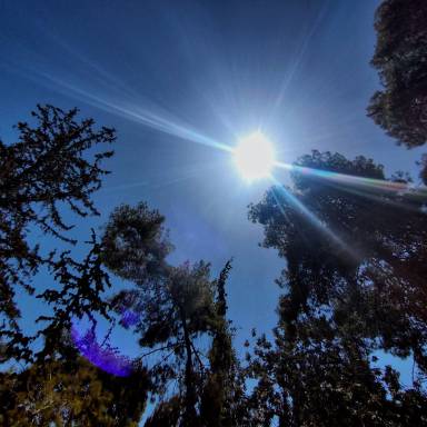Άνοδος της θερμοκρασίας σήμερα Δευτέρα 