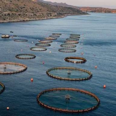 Δημοσιοποίηση ανάρτησης Προσκλήσεων του  Επιχειρησιακού Προγράμματος Αλιείας & Θάλασσας 2021-2027