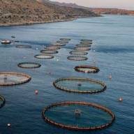 Δημοσιοποίηση ανάρτησης Προσκλήσεων του  Επιχειρησιακού Προγράμματος Αλιείας & Θάλασσας 2021-2027