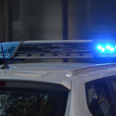 Δυο συλλήψεις για ζωοκλοπή στο Λασίθι