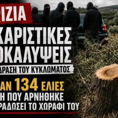 «Ήθελαν το χωράφι»: Καταγγελίες για μαφιόζικες πρακτικές στα Βορίζια