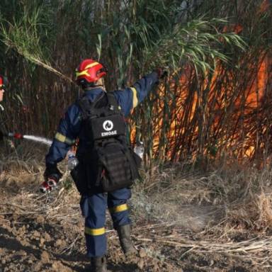 Ισχυρή κινητοποίηση της Πυροσβεστικής για πυρκαγιά στο Ινι