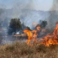 Μεγάλη μάχη με τις φλόγες στο Νότιο Ρέθυμνο – Τεράστιες καταστροφές, σε επιφυλακή οι δυνάμεις