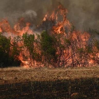 Οδύνη για την καταστροφική πυρκαγιά εκφράζει ο «Σύνδεσμος Μελών Γυναικείων Σωματείων Ηρακλείου