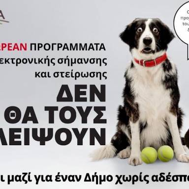 Με μεγάλη συμμετοχή ολοκληρώθηκε η δωρεάν, πενθήμερη κτηνιατρική δράση στο Δήμο Μινώα Πεδιάδας - 285 ζώα έλαβαν κτηνιατρική φροντίδα