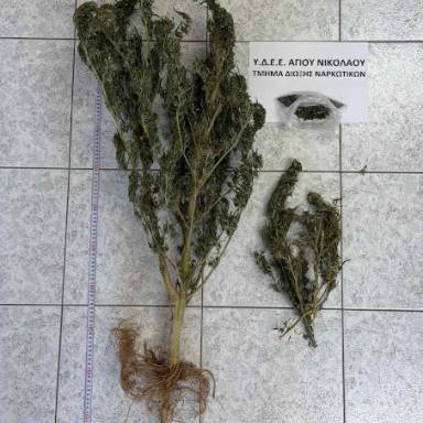 Συλλήψεις για ναρκωτικά σε Αγιο Νικόλαο και Χανιά