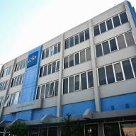 ΝΔ: 37 χρόνια από τη δολοφονία του Παύλου Μπακογιάννη – «Η μνήμη του παραμένει ζωντανή»