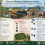 Ελαιοσυλλογή με ασφάλεια και ποιότητα -Οδηγίες της Περιφέρειας Κρήτης για την προστασία του ελαιολάδου